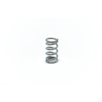 Ascaso I.2344 : Thermoblock Inox Spring